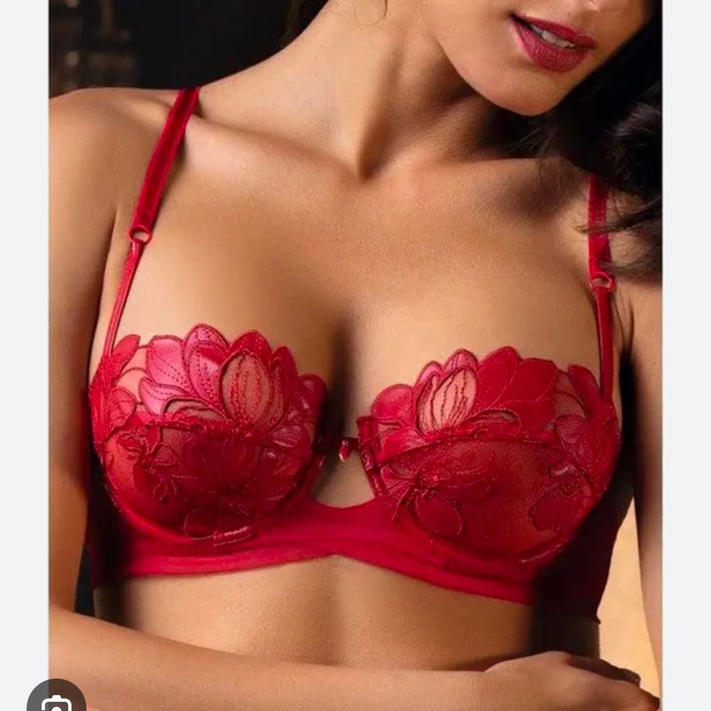Lise Charmel Red 💋Bra . 36C